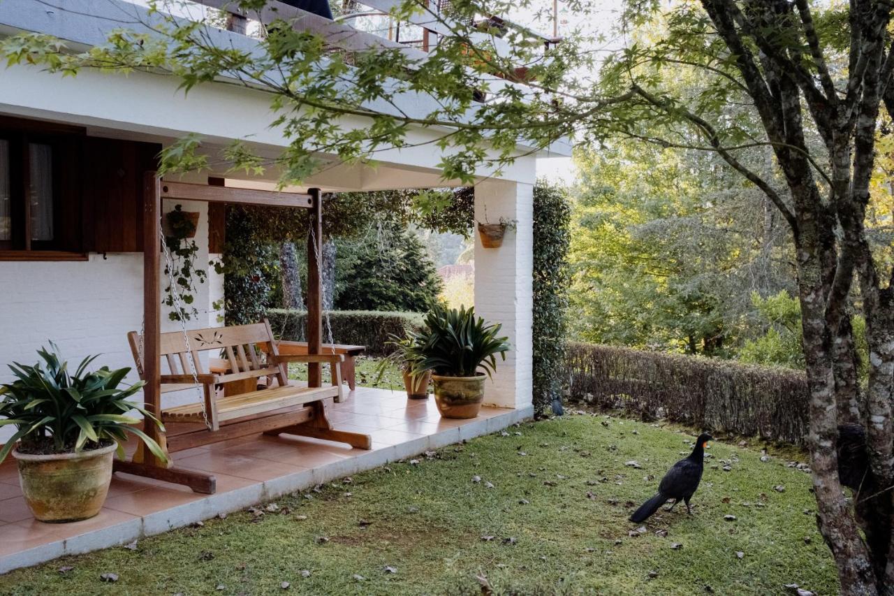 Cabana Mimosa Monteverde Extérieur photo